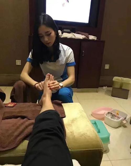茶道人生